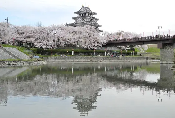 桜シーズンの撮影スポット