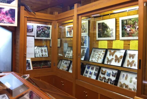 展示場兼休憩場