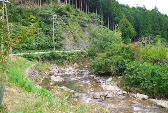 越知川沿いを下ります