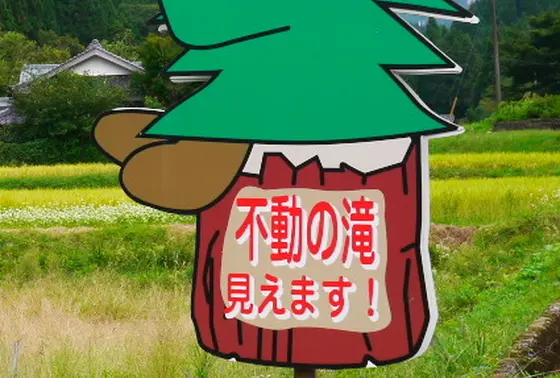 遠くからで見れます。