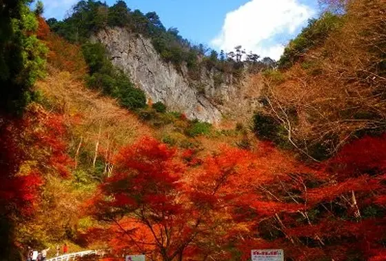 鋸山の紅葉！