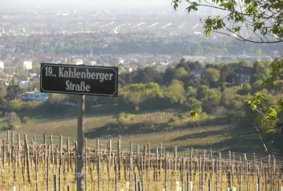 Kahlenberger Strasse