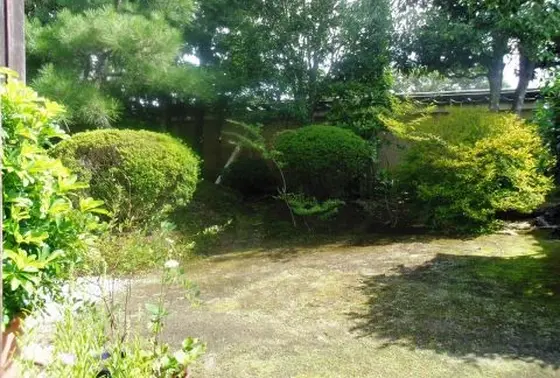 小さなお庭