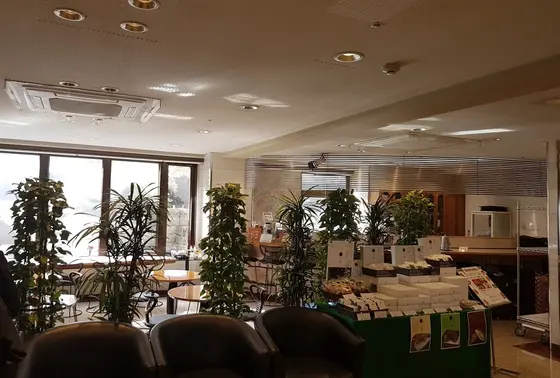 カフェやレストランも