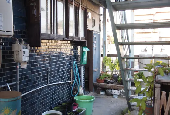 入口