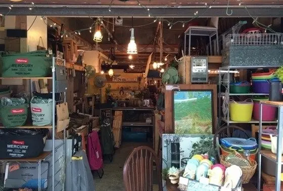 充実のラインナップ。