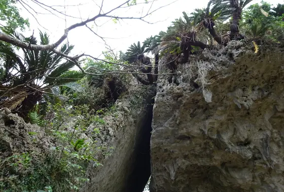 三庫理（さんぐーい）