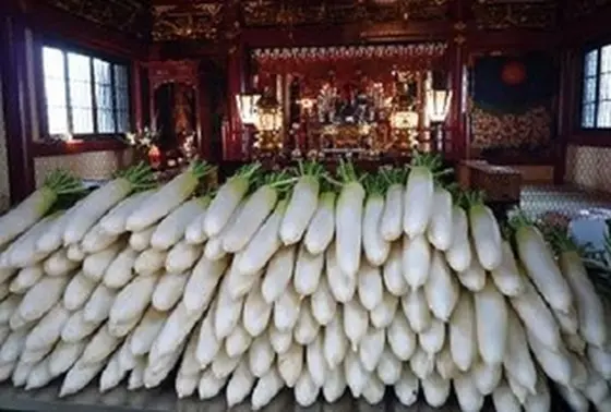 大根！