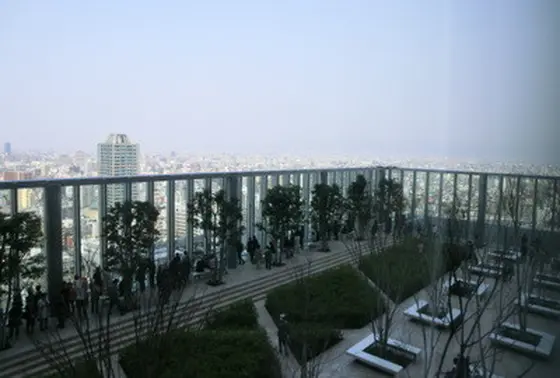 １６階ハルカス３００チケットカウンター前の屋上庭園