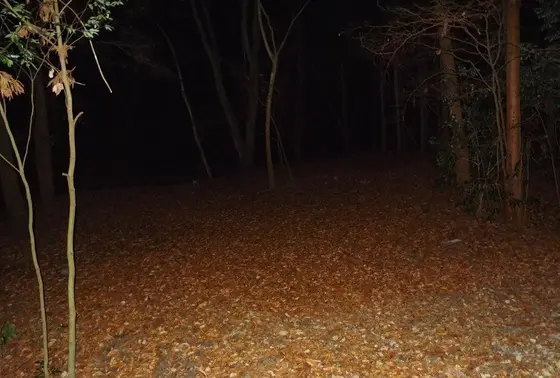 足音