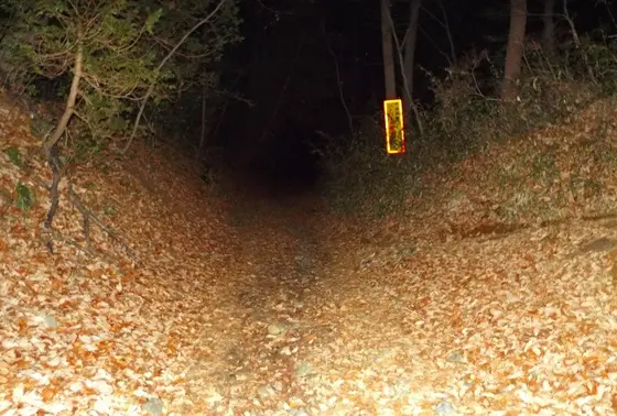 絹の道