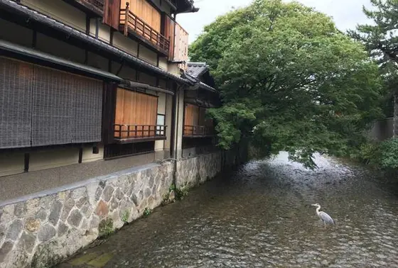 祇園白川
