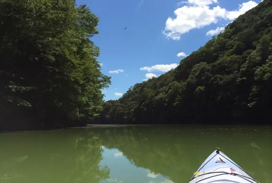 カヤックツアー90分。デート。家族。子供と。