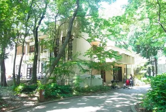 緑豊かな大学の構内