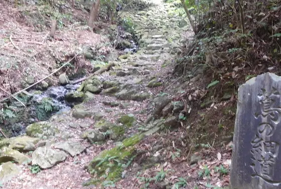 蔦の細道