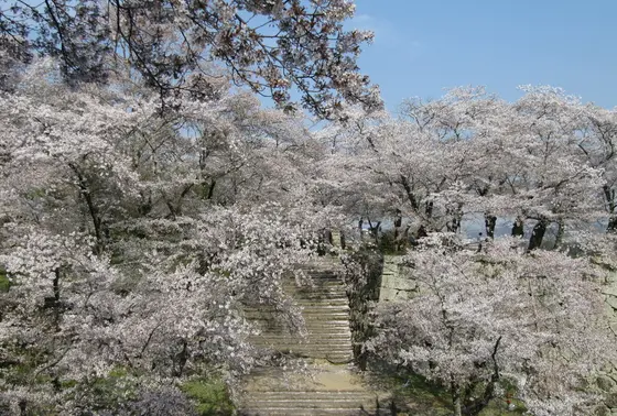 本丸へ手前の石段から