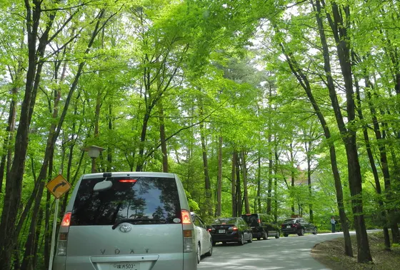 渋滞だぁ～