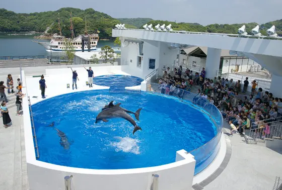 イルカショーもおススメです