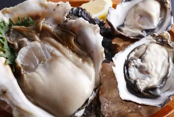岩かきとプレミアムオイスターの食べ比べセット