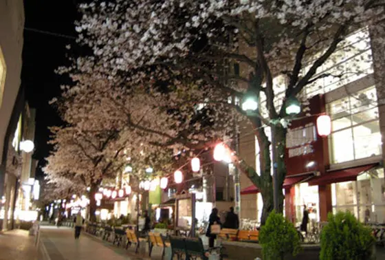 夜の緑道はまるでお祭り。