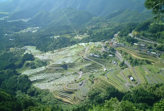 通り峠 丸山千枚田 展望台