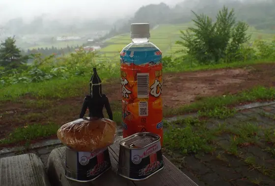 お弁当とか一杯とか