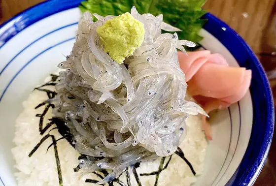生しらすたっぷり丼　1,000円