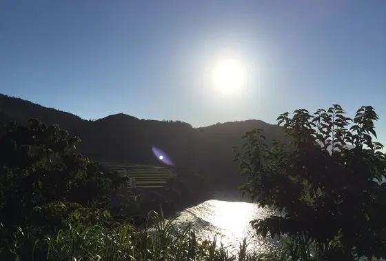 田烏２