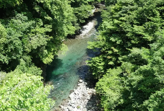 吊り橋から見る道志川