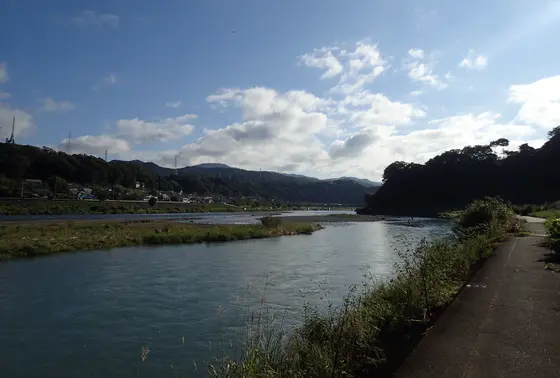桂川でも