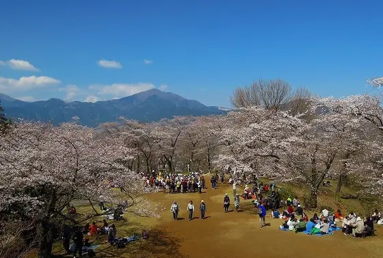 昼休憩にはぴったりの場所