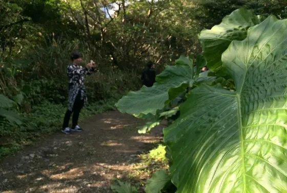でこぼこ道