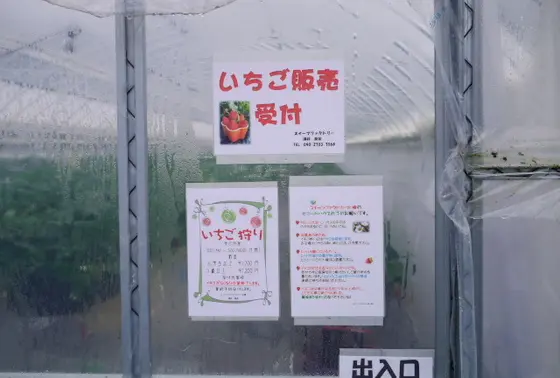 45分間食べ放題