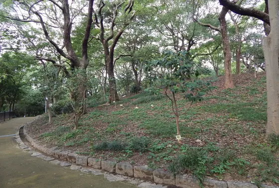 山頂