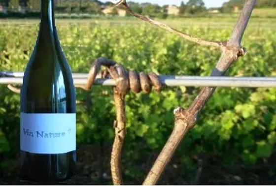 ワインは全てこだわりのvin nature!