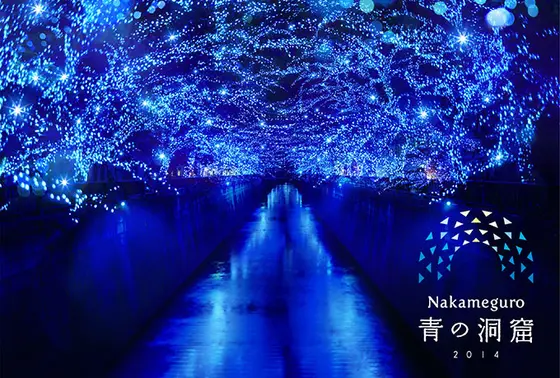冬はイルミネーションを楽しもう🎄
