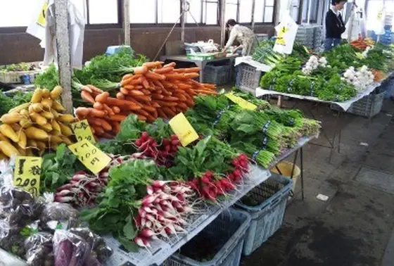 これが自慢の鎌倉野菜