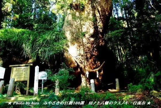 南九州三ヶ所に伝わる弥五郎どん