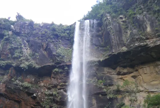 下山し滝壺へ