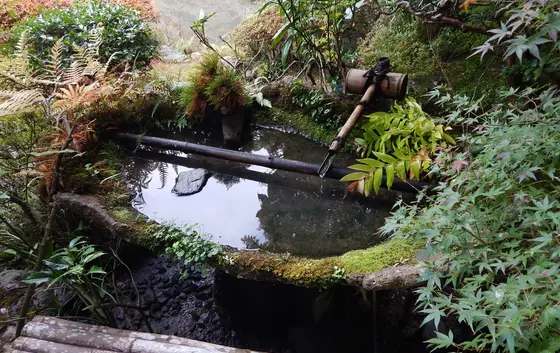 石の手水鉢