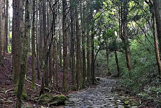 天ｹ石坂