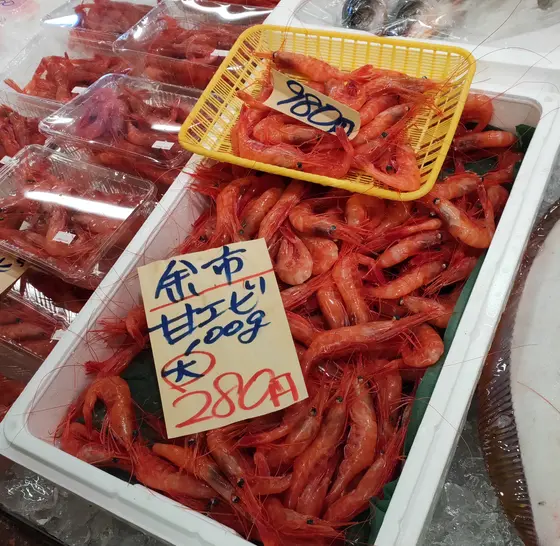 新鮮な魚介類をお土産に。