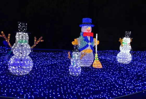 クリスマスイルミ