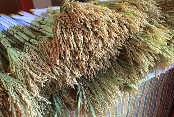 弁財天吉祥初稲穂の授与