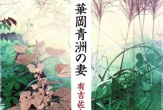 「華岡青洲の妻」