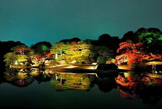 夜桜ならぬ「夜紅葉」観賞を