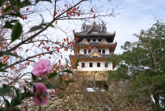 洲本城