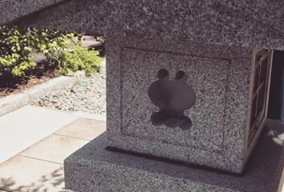 おみくじもあります.·˖*✩⡱