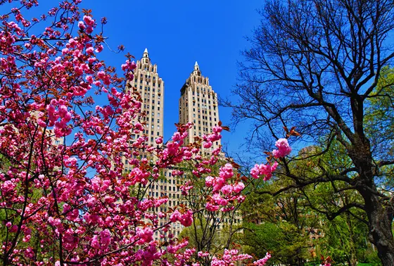 Spring