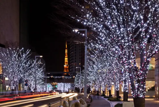 六本木けやき坂通り